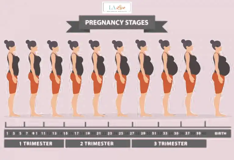 First Trimester (Weeks 1–12): Early Changes You Might Not Notice Wickford